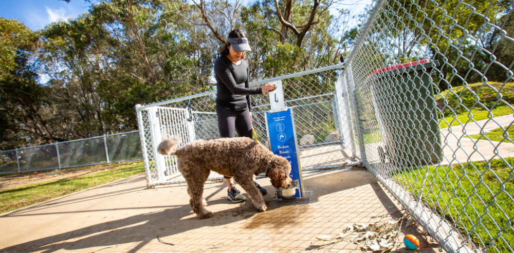 Helensburgh’s Proud Park has new dog-friendly amenities