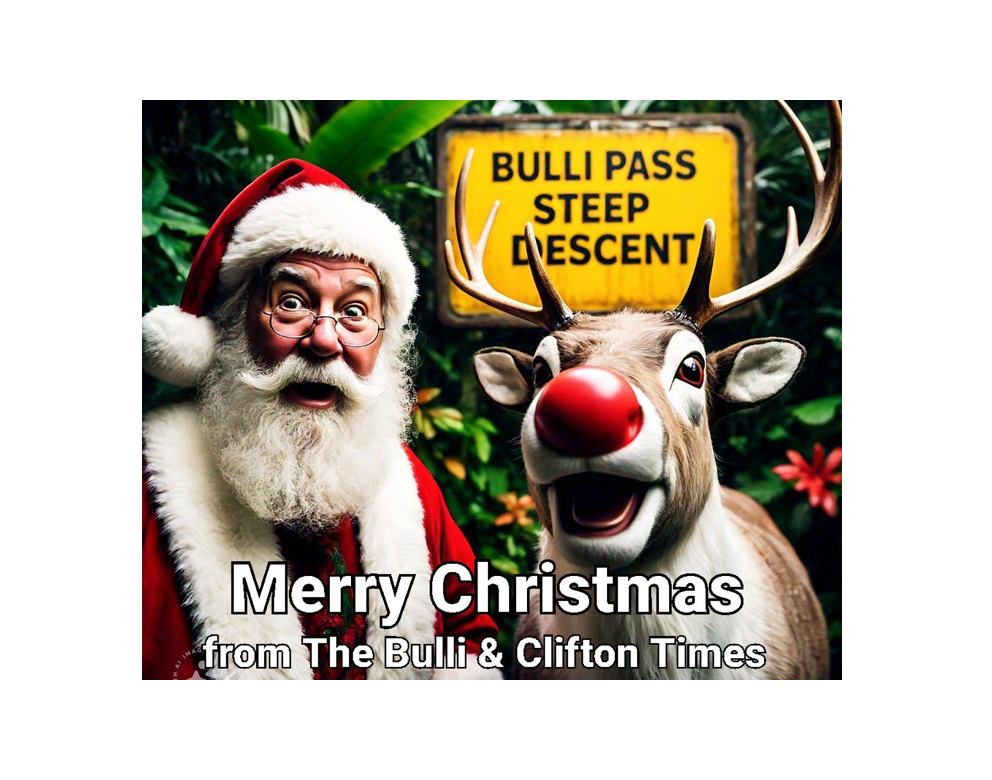 Wishing our readers a safe and merry Christmas