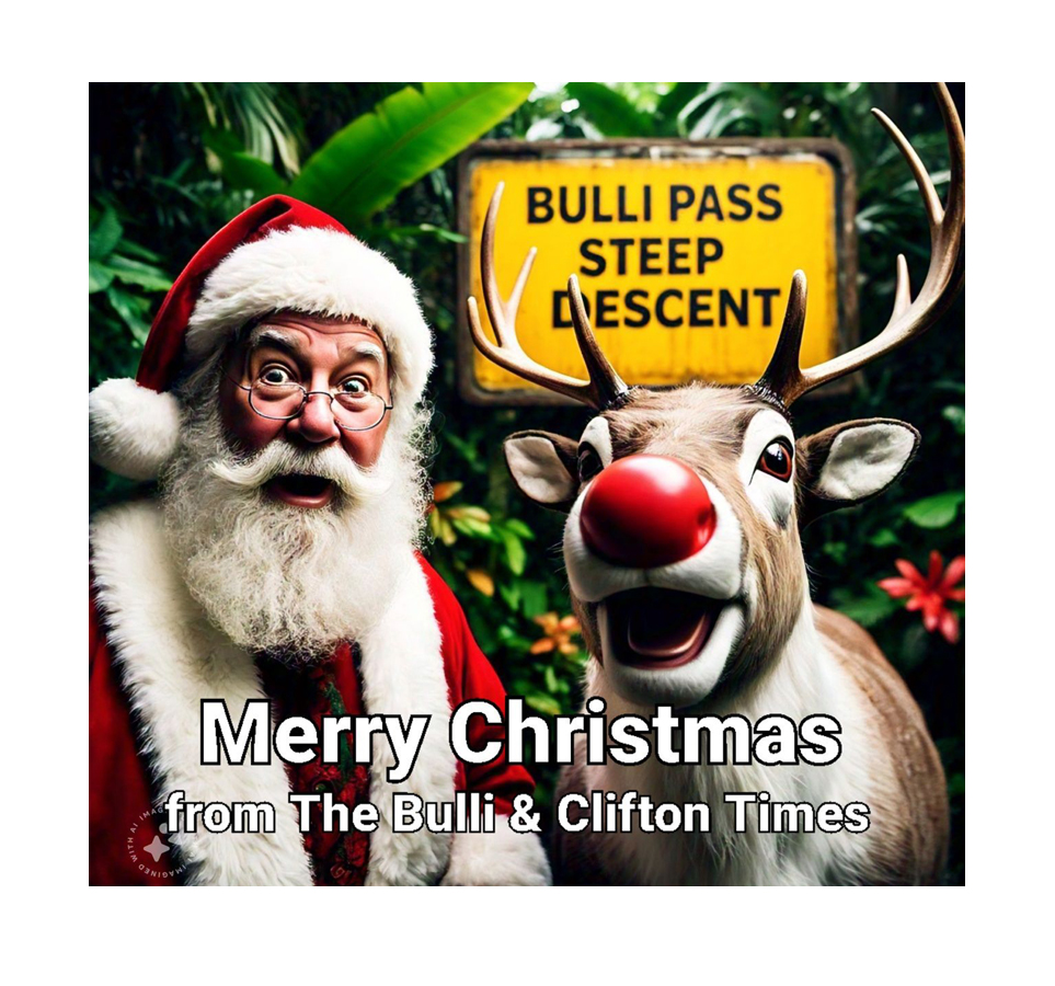 Wishing our readers a safe and merry Christmas