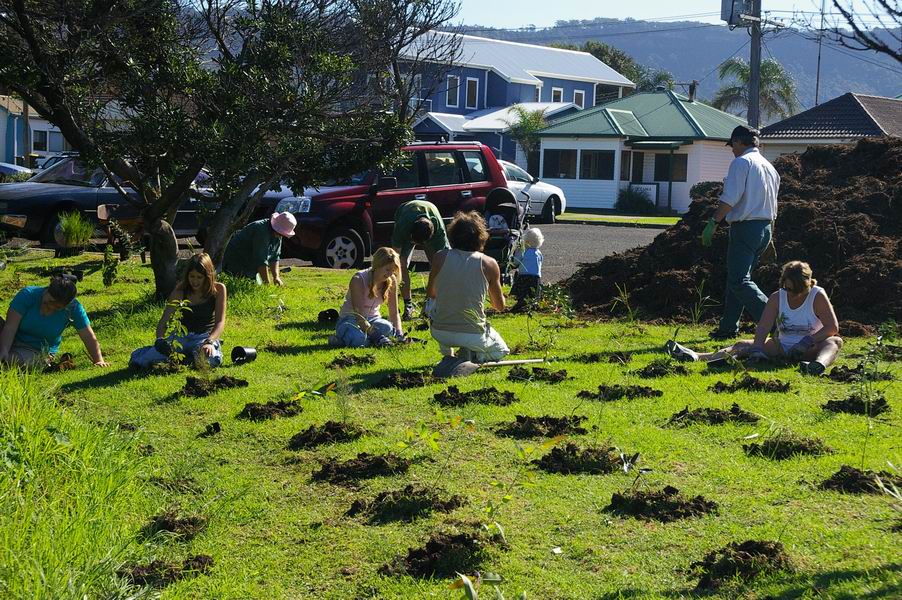 National Tree Day on&nbsp;Sunday