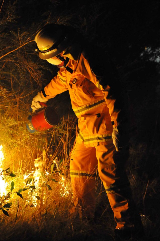 F6 re-opens after Bulli Tops&nbsp;blaze