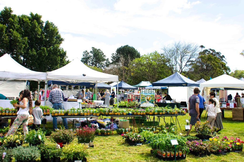 Backyard festival offers the right&nbsp;advice