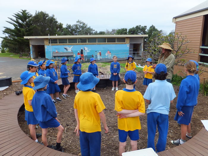 Coledale’s classroom comes&nbsp;alive