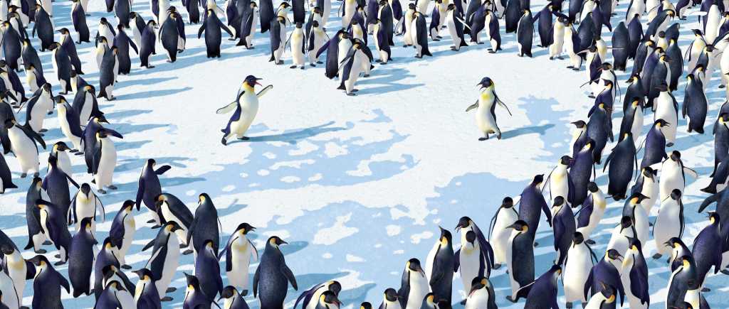 Movies coming to Thirroul&nbsp;Beach