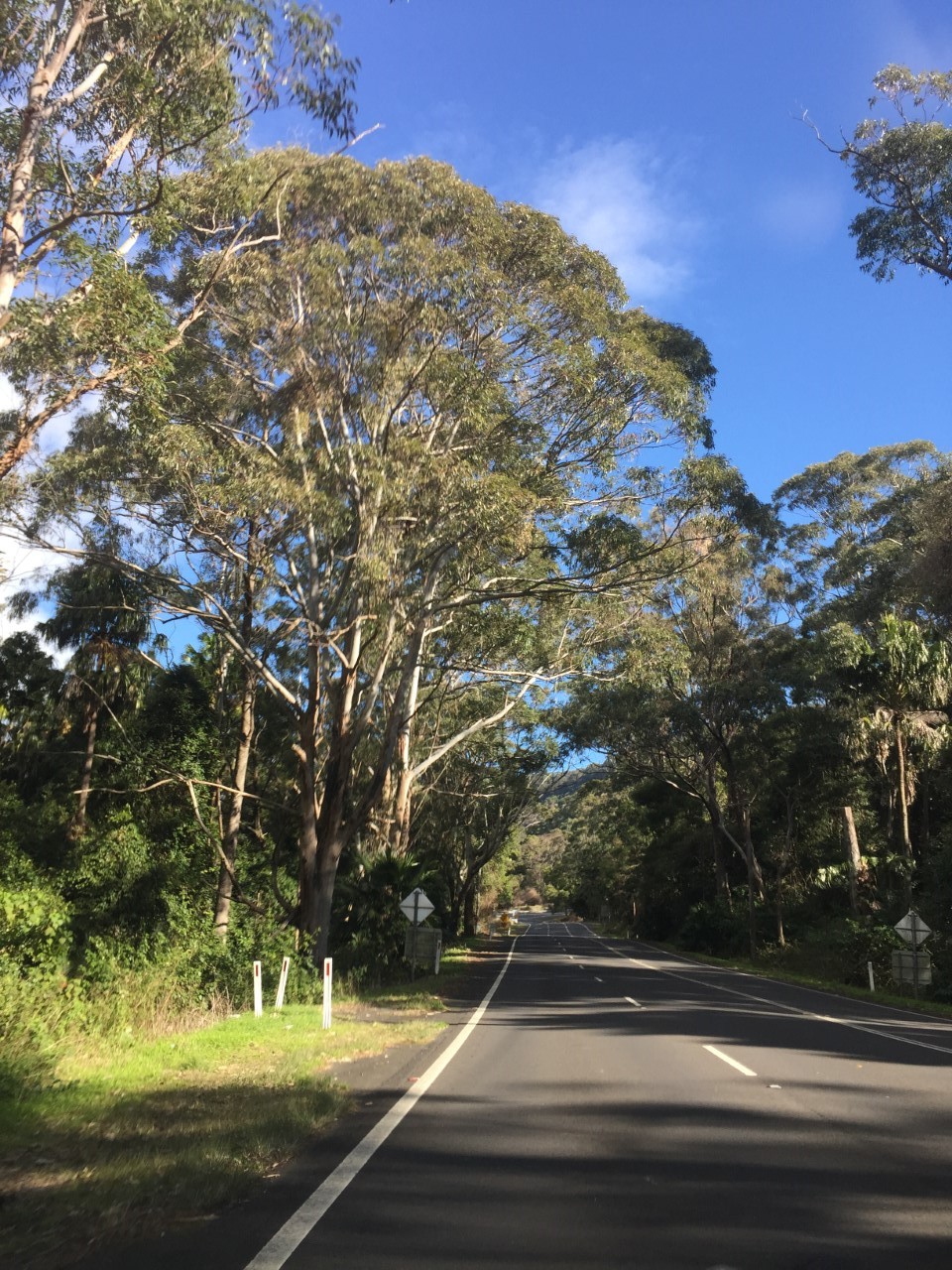 MP wants answers over Pass&nbsp;closure