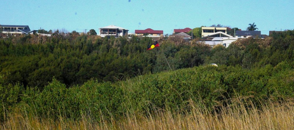 Bushcare suspends activities as vandalism continues&nbsp;unabated