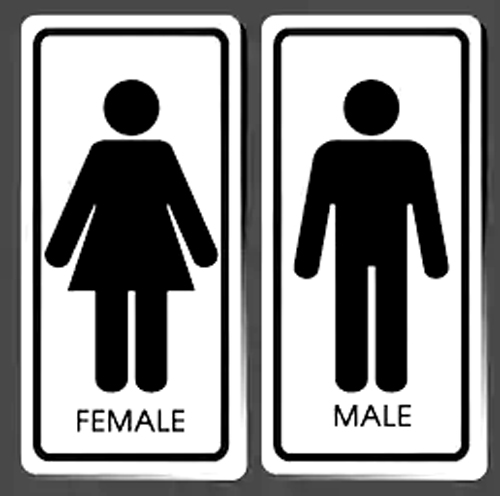 New public toilets planned for Austinmer Beach and Stanwell&nbsp;Park