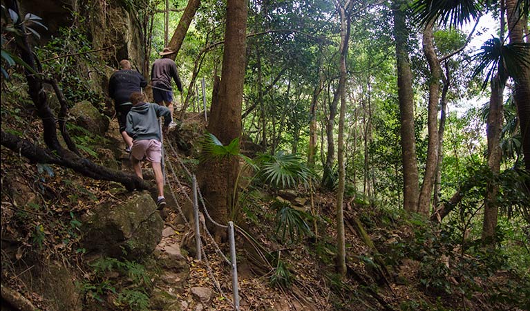 Mt Kembla Ring Track, Illawarra Escarpment State Conservation Area