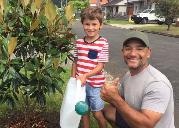 Urban greening strategy&nbsp;underway