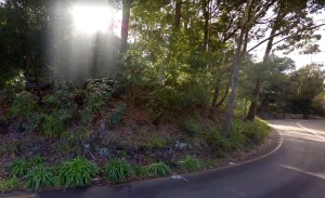 wall austiner the grove austinmer