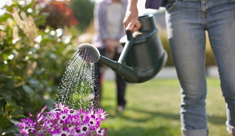 A-woman-wearing-jeans-watering-a-garden