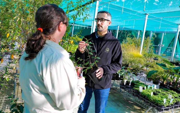 Final plant sale of the year at&nbsp;Gardens
