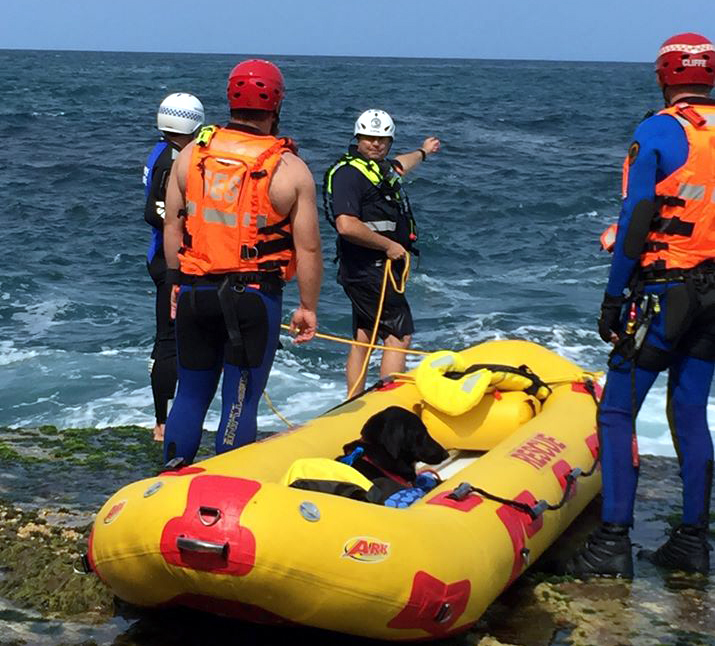 Dog rescue Stanwell Park 1