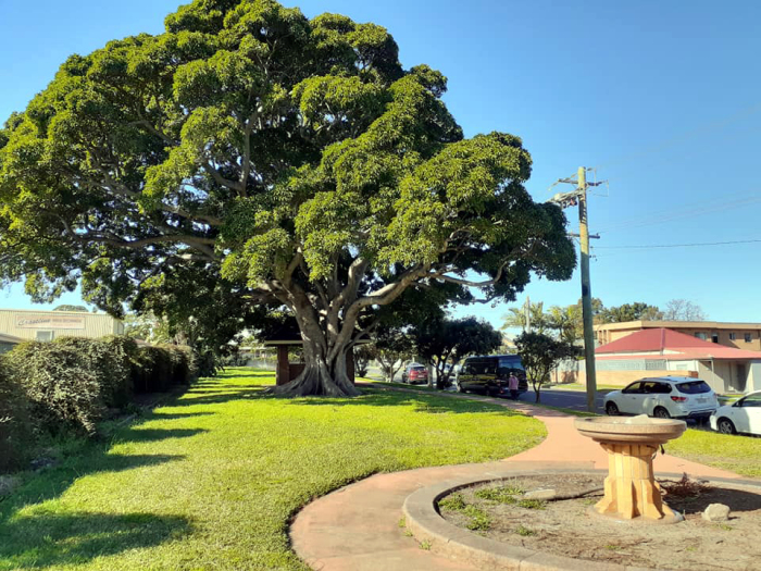 Council will investigate restoring Woonona’s historic Pendlebury&nbsp;Park