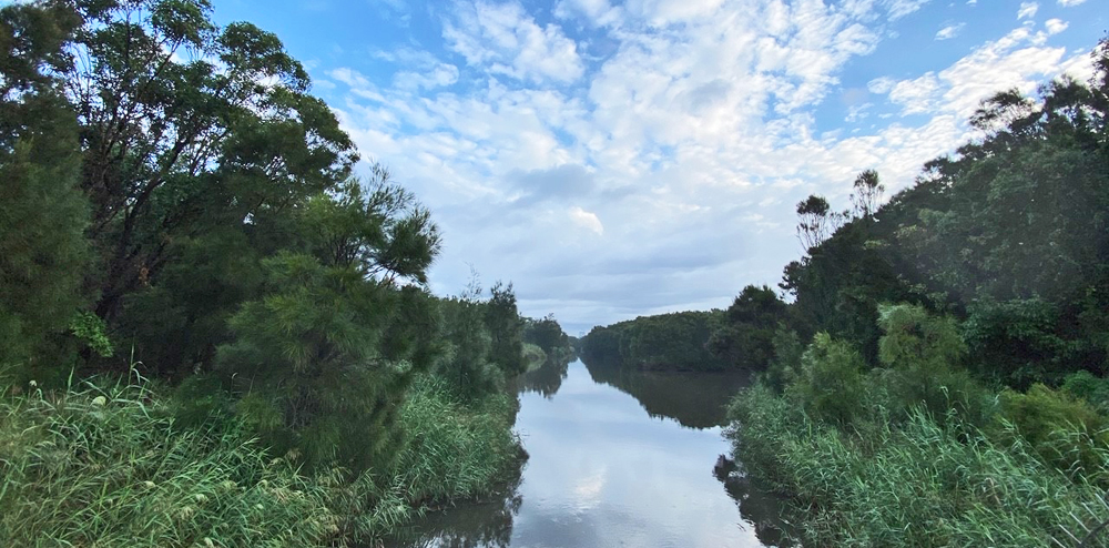 Fairy Meadow boardwalks to get an upgrade over&nbsp;summer