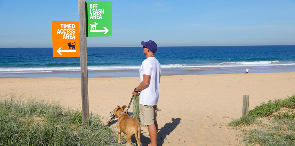 Summer means times have changed to take your dog to the&nbsp;beach