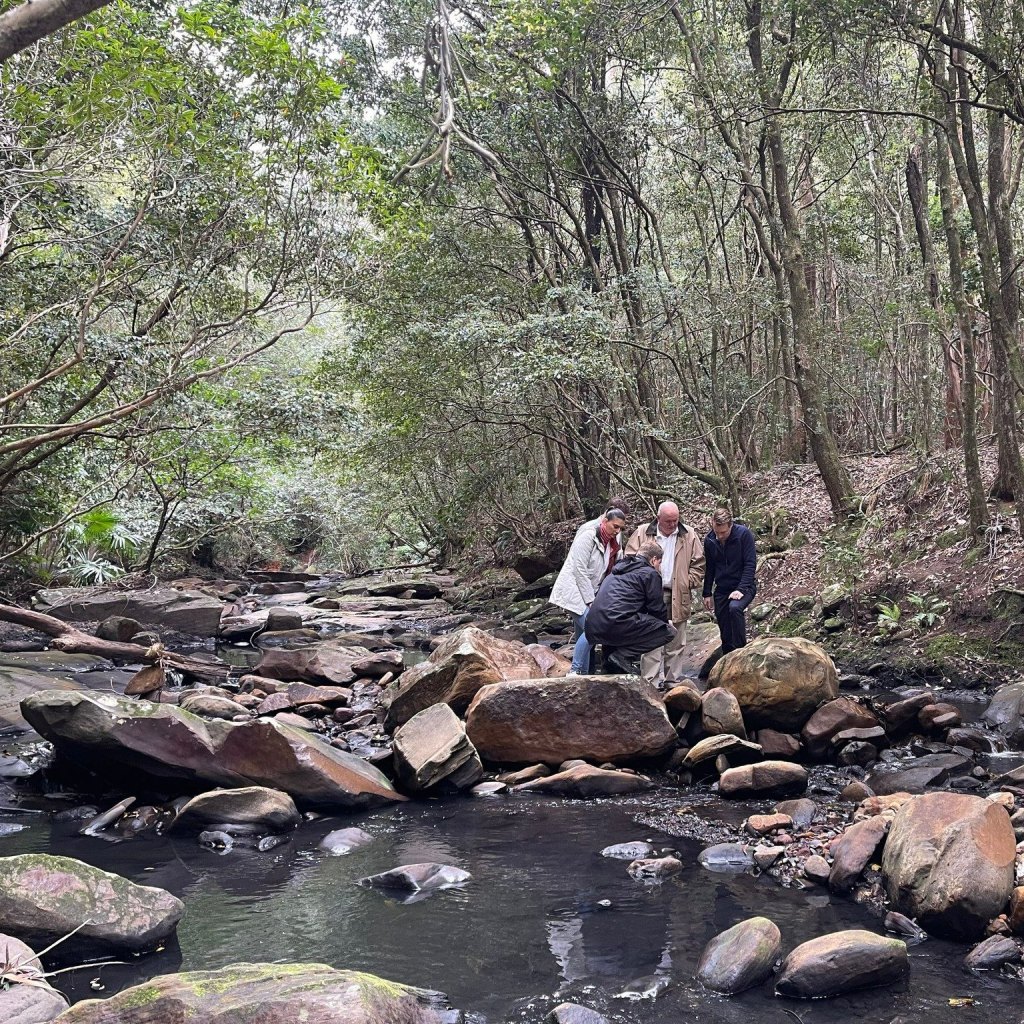 Environmental groups call for action after another coal sludge spill in Helensburgh’s Camp&nbsp;Creek