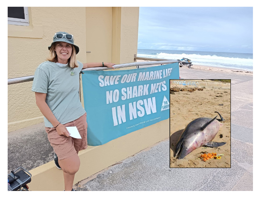 Greens call for removal of shark nets from Illawarra&nbsp;beaches