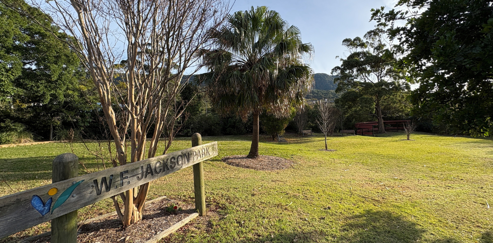 Short list for new skate park includes Thirroul and Austinmer parks and Bulli Showground