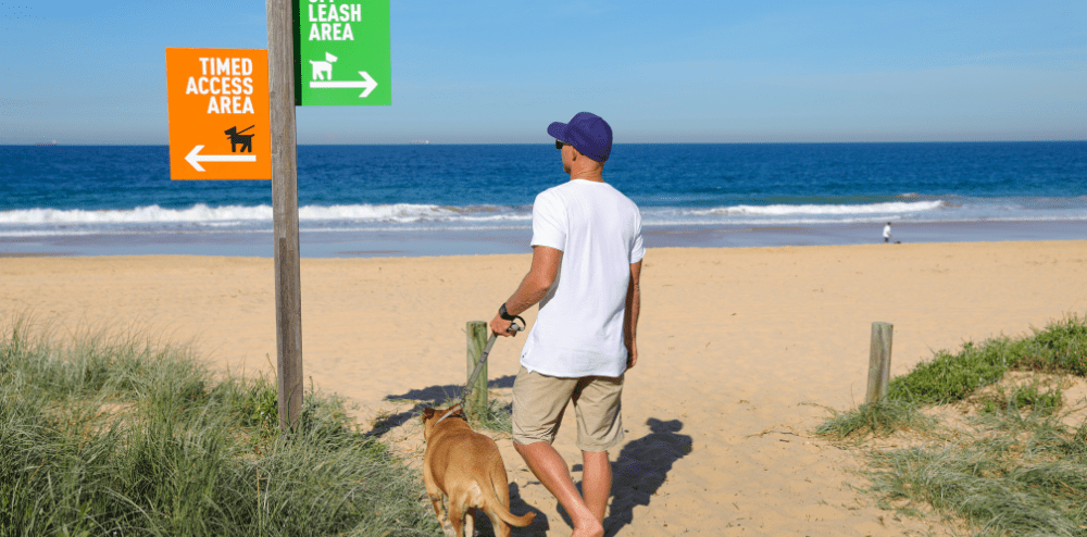 Updated ‘Dogs on Beaches Policy’ explained: McCauleys Beach not included in&nbsp;review